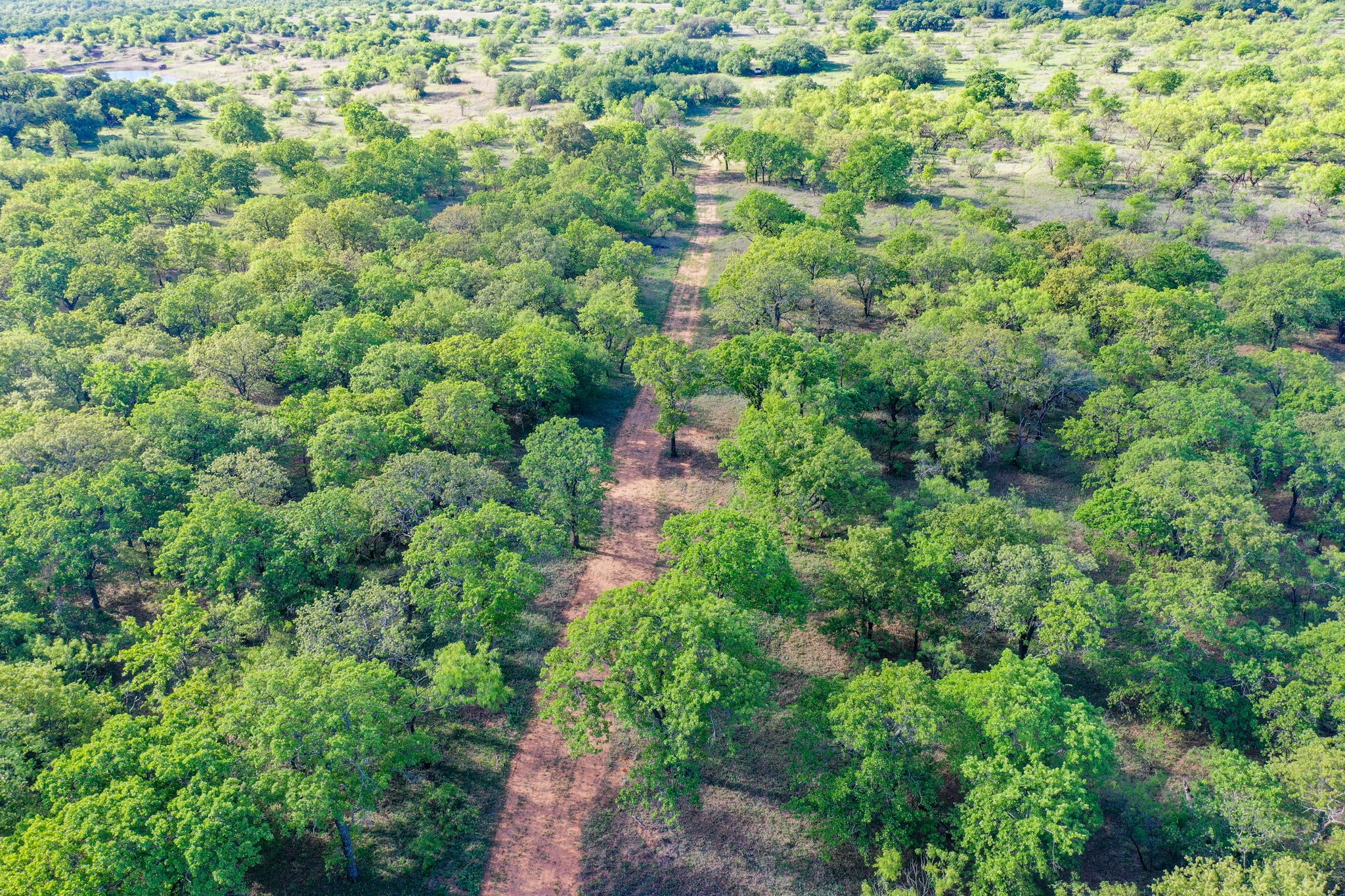 Tbd Roney Road Jacksboro TX 76458