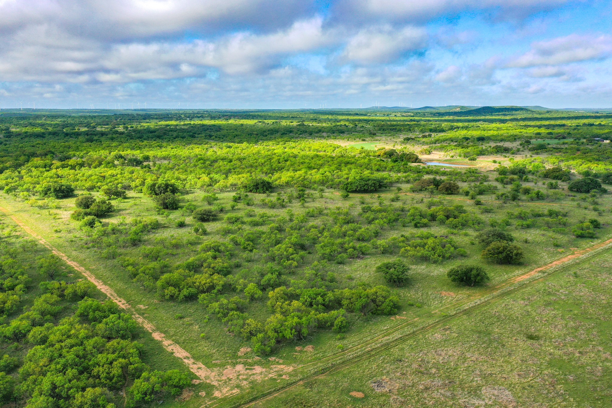 Tbd Roney Road Jacksboro TX 76458