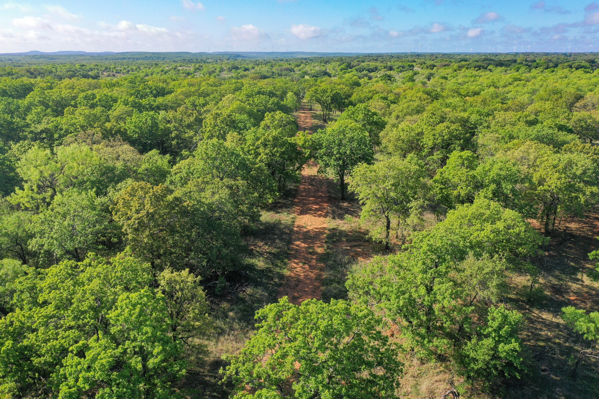 Tbd Roney Road Jacksboro TX 76458