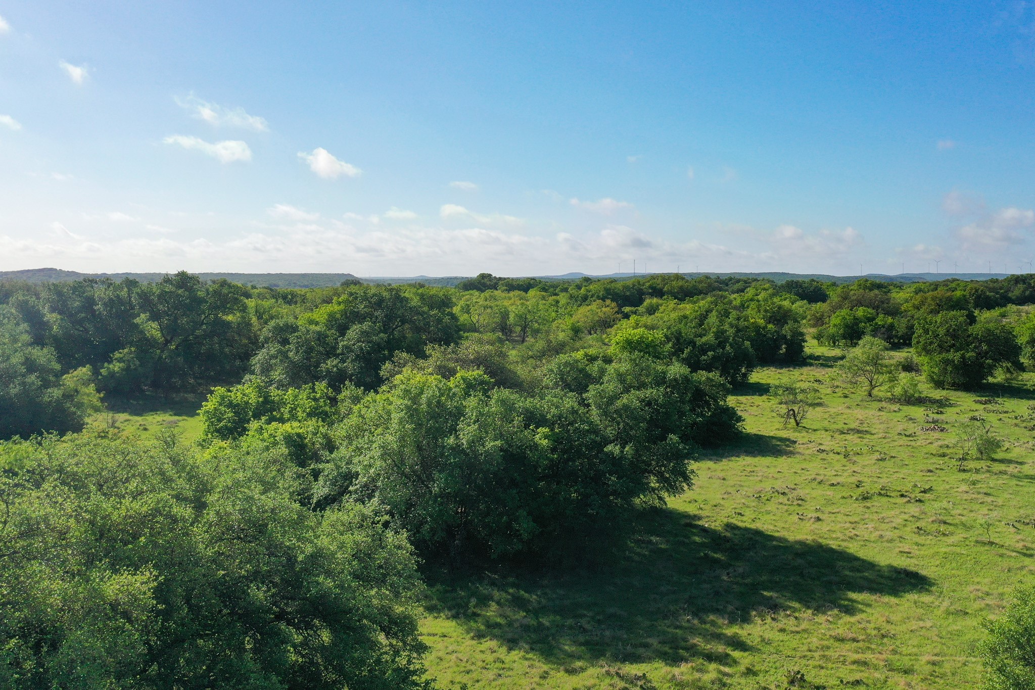 Tbd Roney Road Jacksboro TX 76458