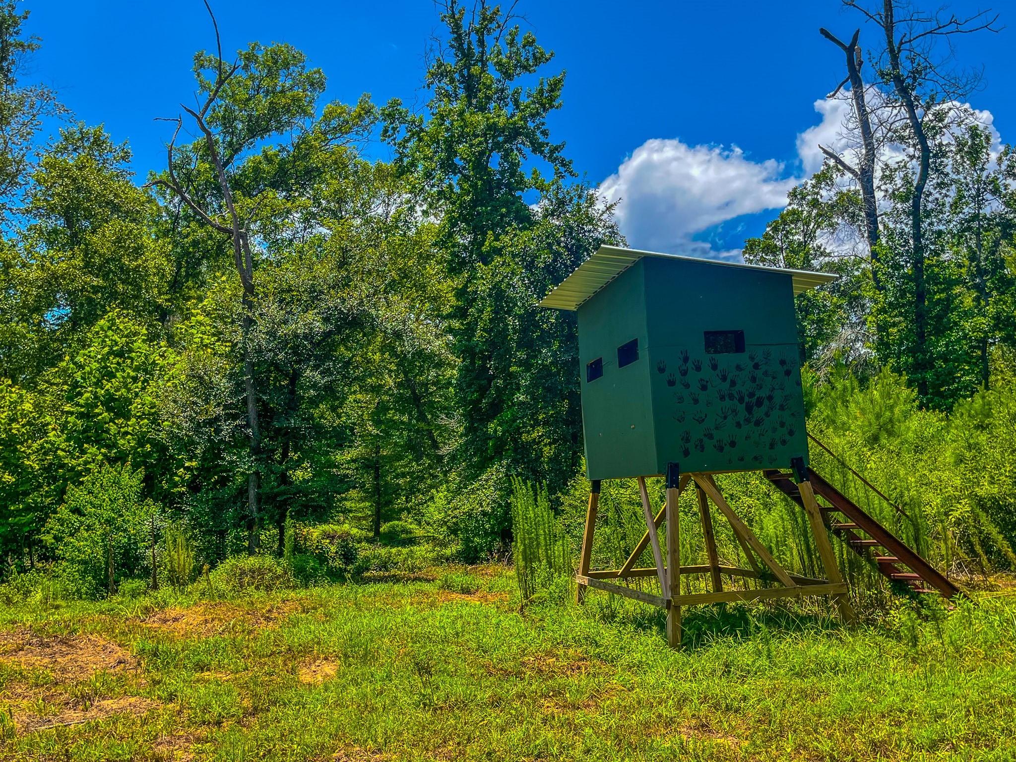 Tbd County Road 1906 Jacksonville TX 75766