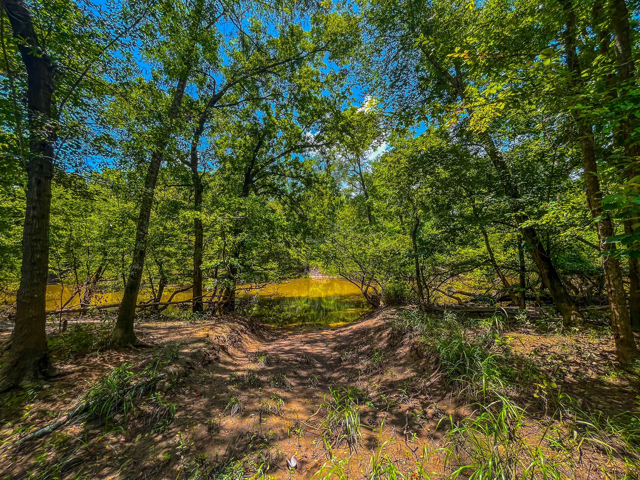 Tbd County Road 1906 Jacksonville TX 75766
