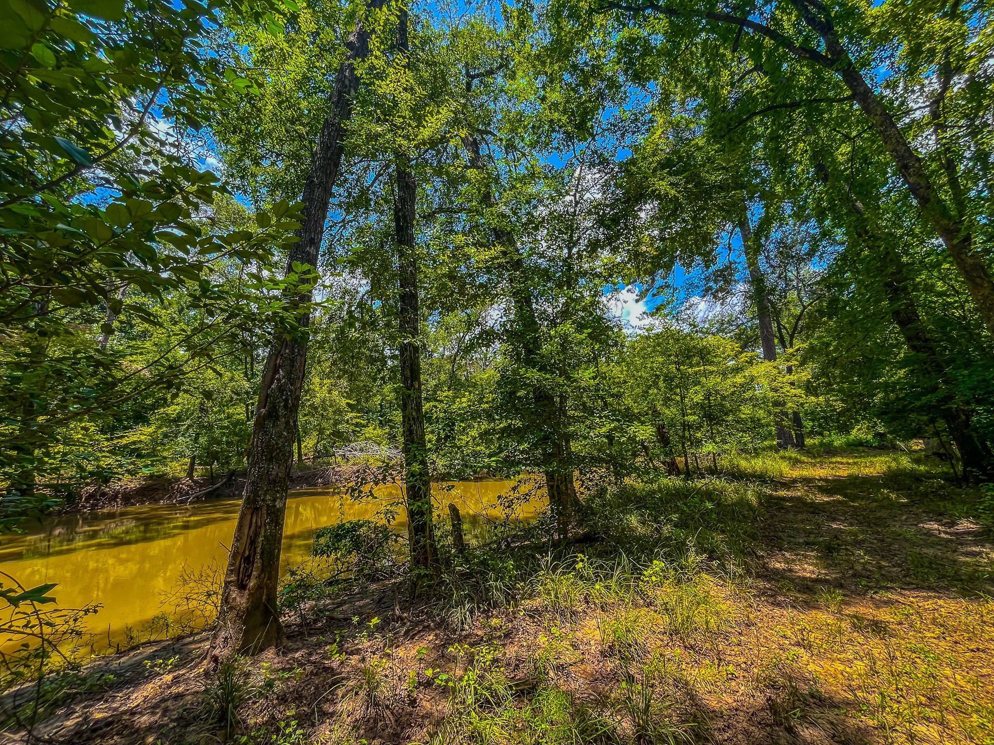 Tbd County Road 1906 Jacksonville TX 75766