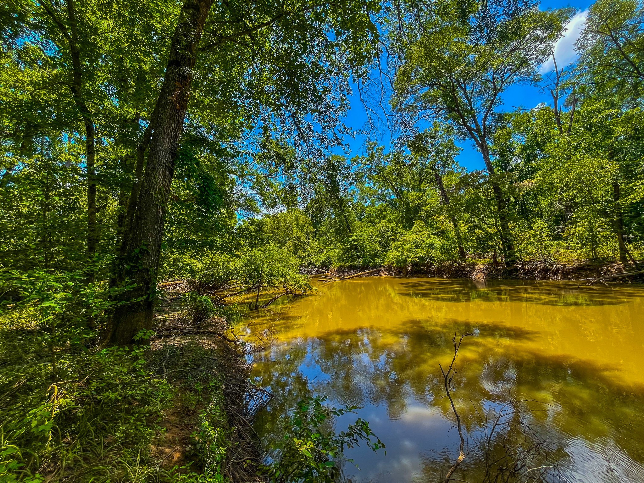 Tbd County Road 1906 Jacksonville TX 75766