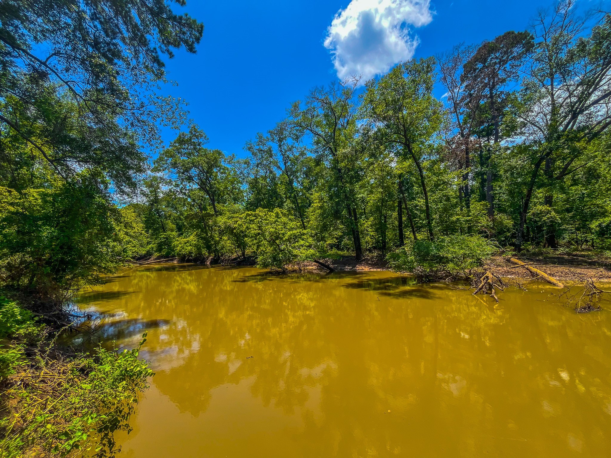Tbd County Road 1906 Jacksonville TX 75766