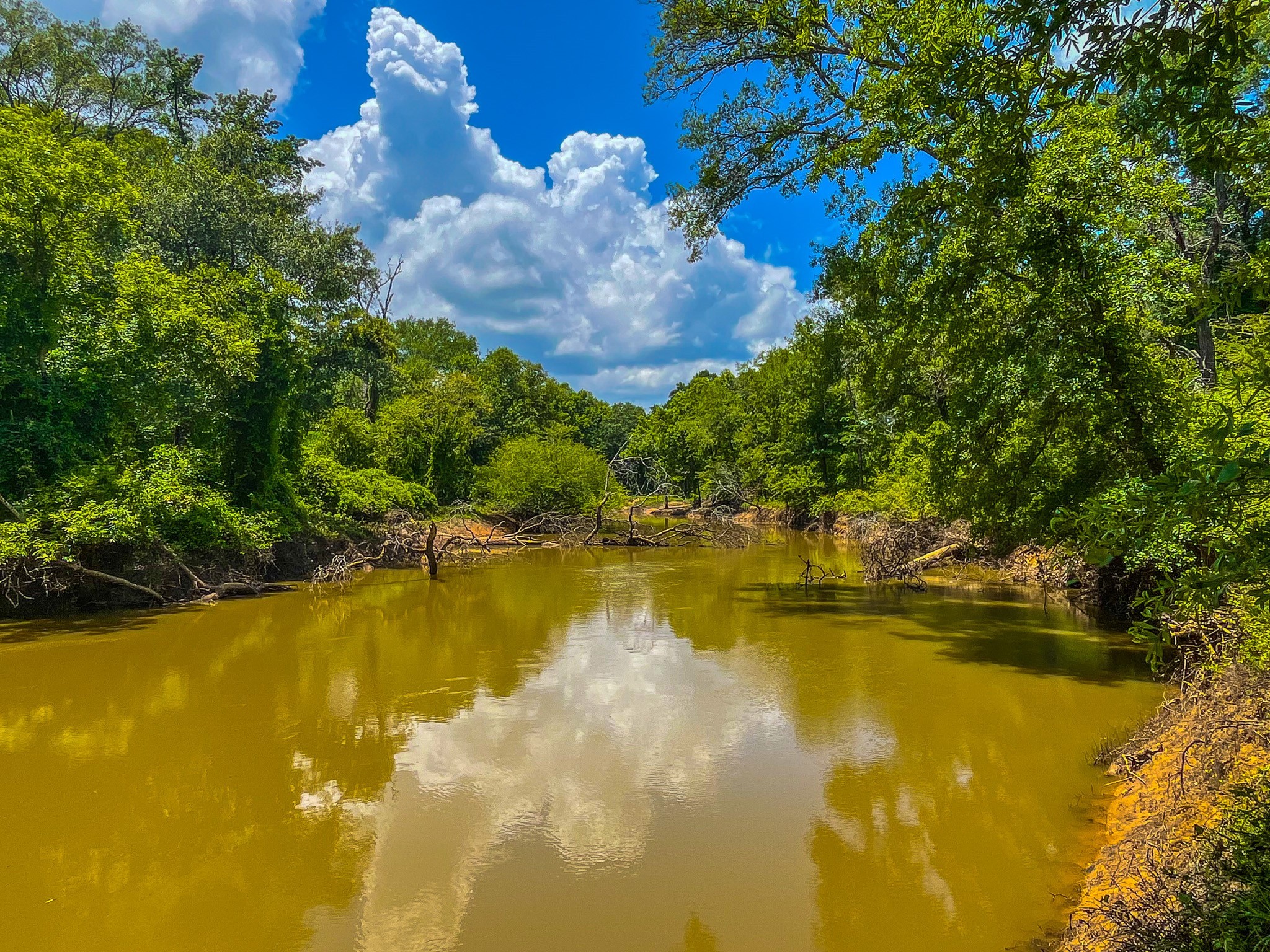 Tbd County Road 1906 Jacksonville TX 75766