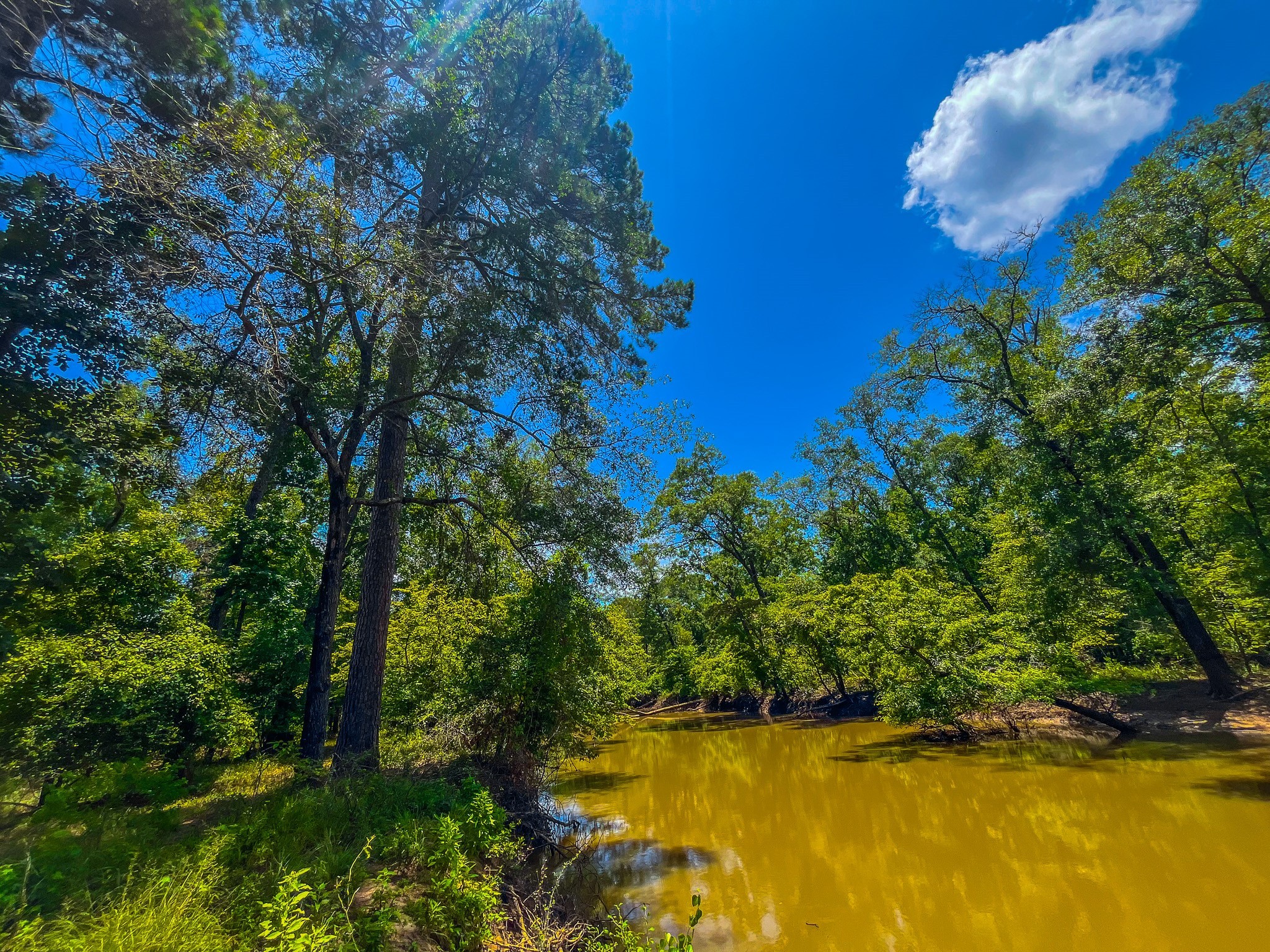 Tbd County Road 1906 Jacksonville TX 75766