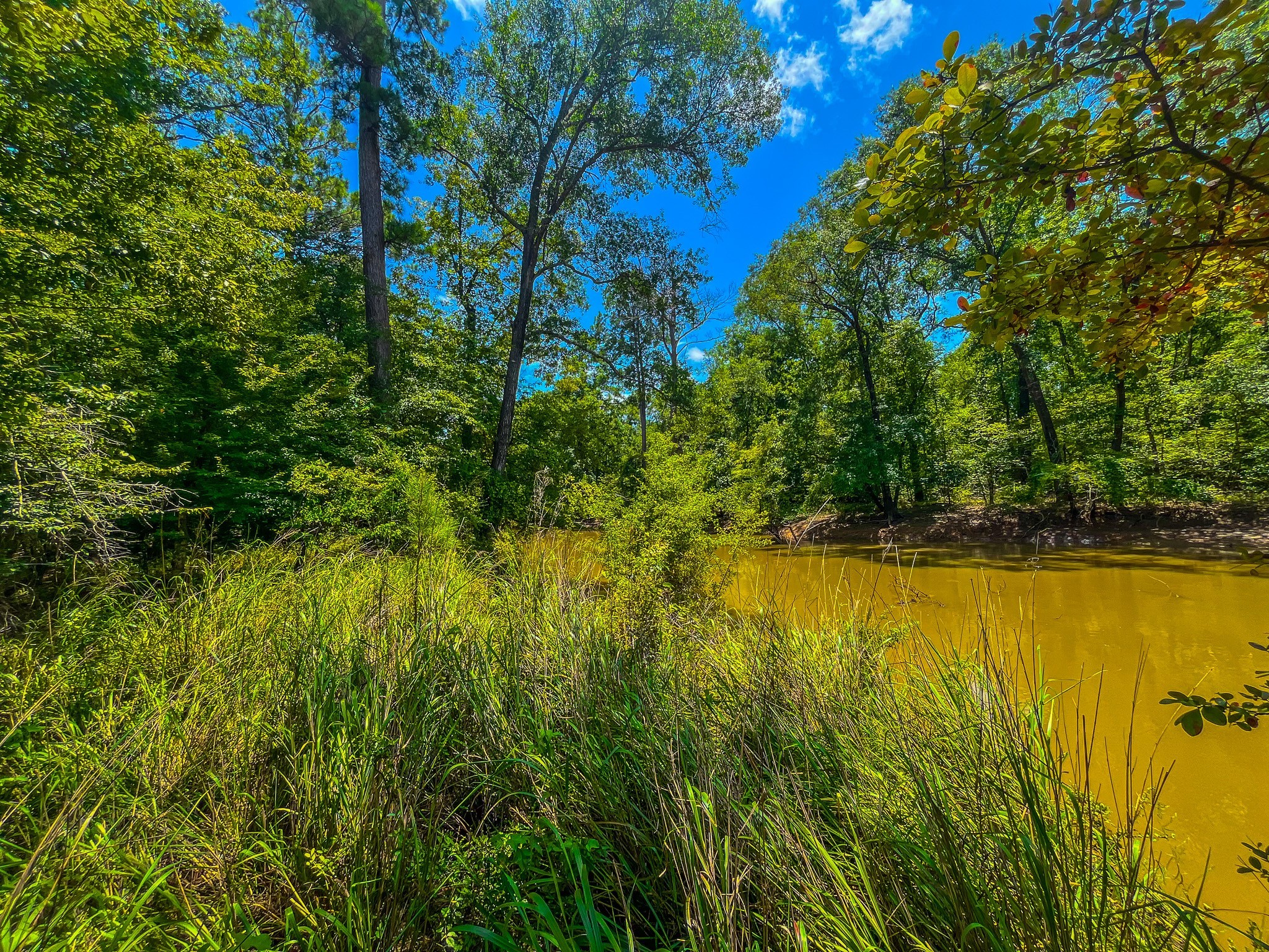 Tbd County Road 1906 Jacksonville TX 75766