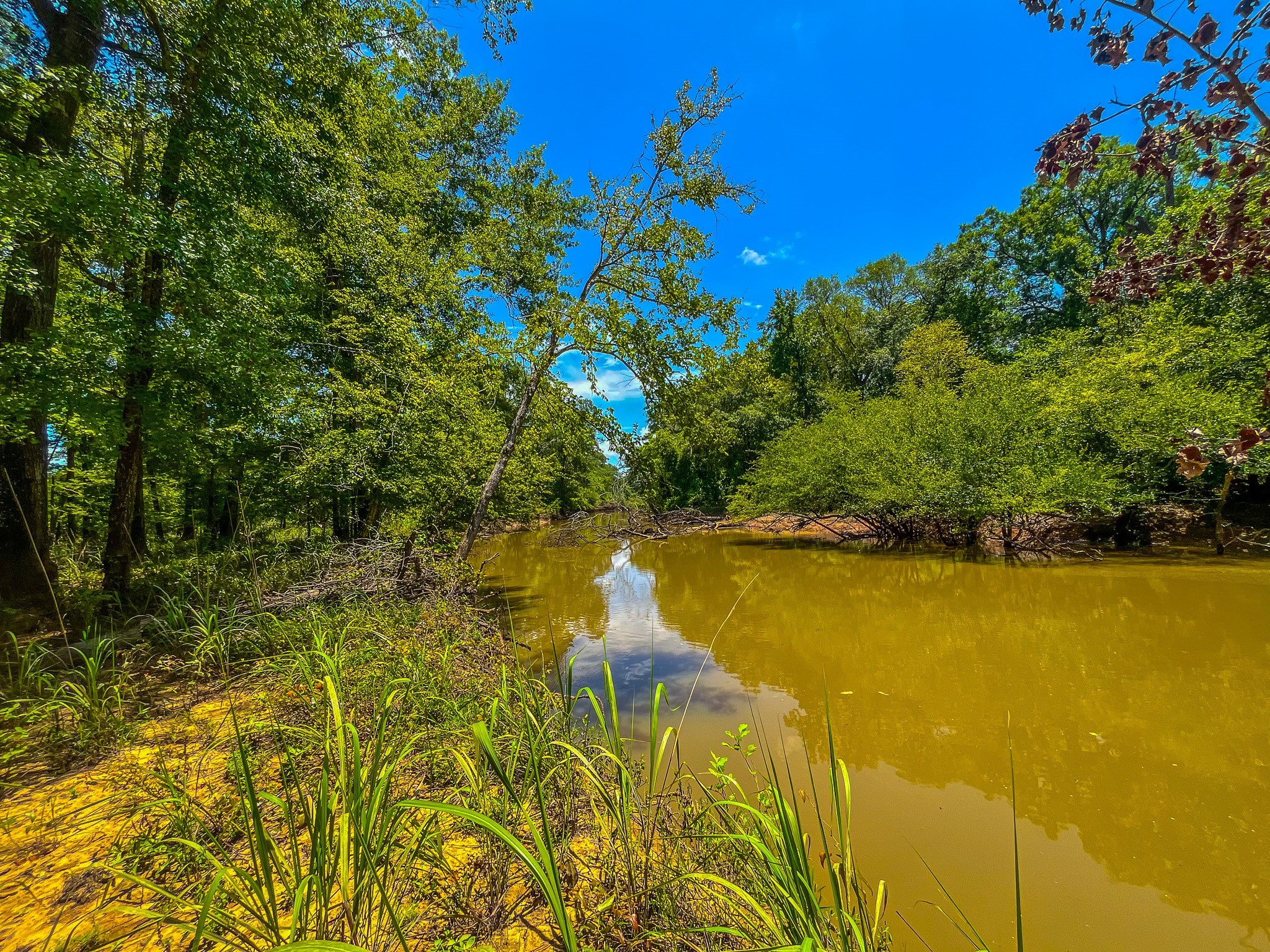 Tbd County Road 1906 Jacksonville TX 75766