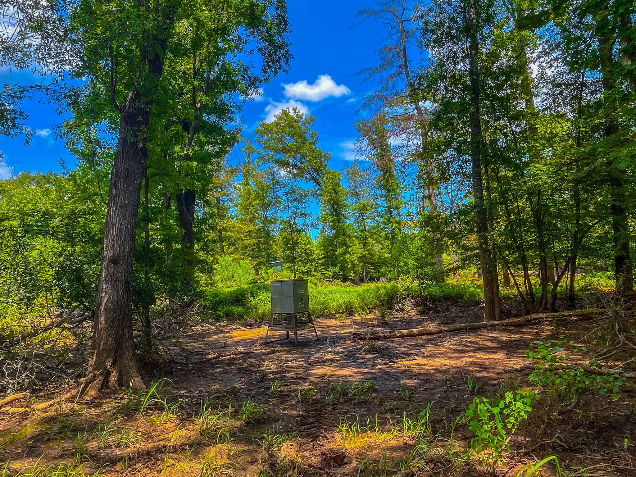 Tbd County Road 1906 Jacksonville TX 75766