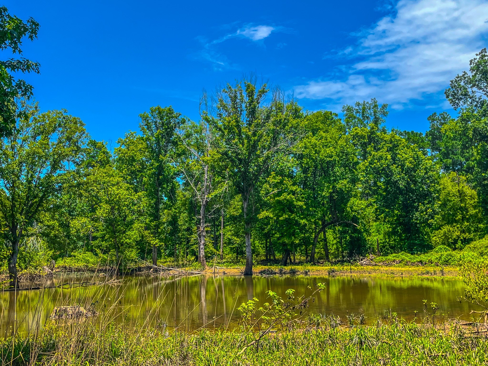 Tbd County Road 1906 Jacksonville TX 75766
