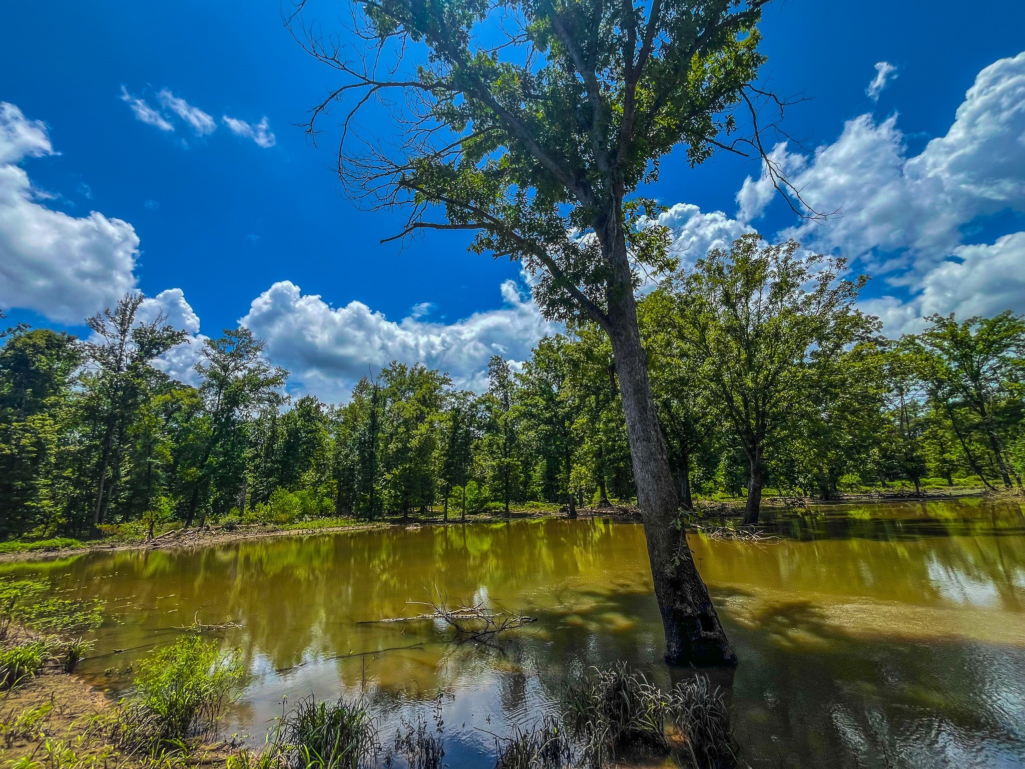 Tbd County Road 1906 Jacksonville TX 75766