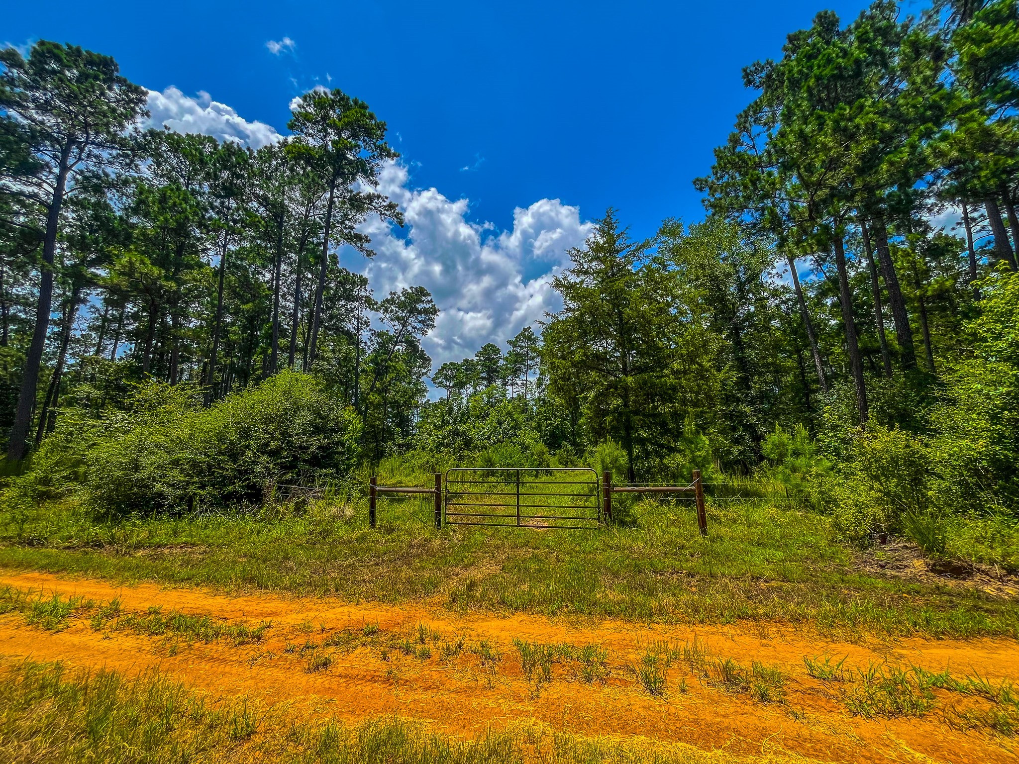 Tbd County Road 1906 Jacksonville TX 75766