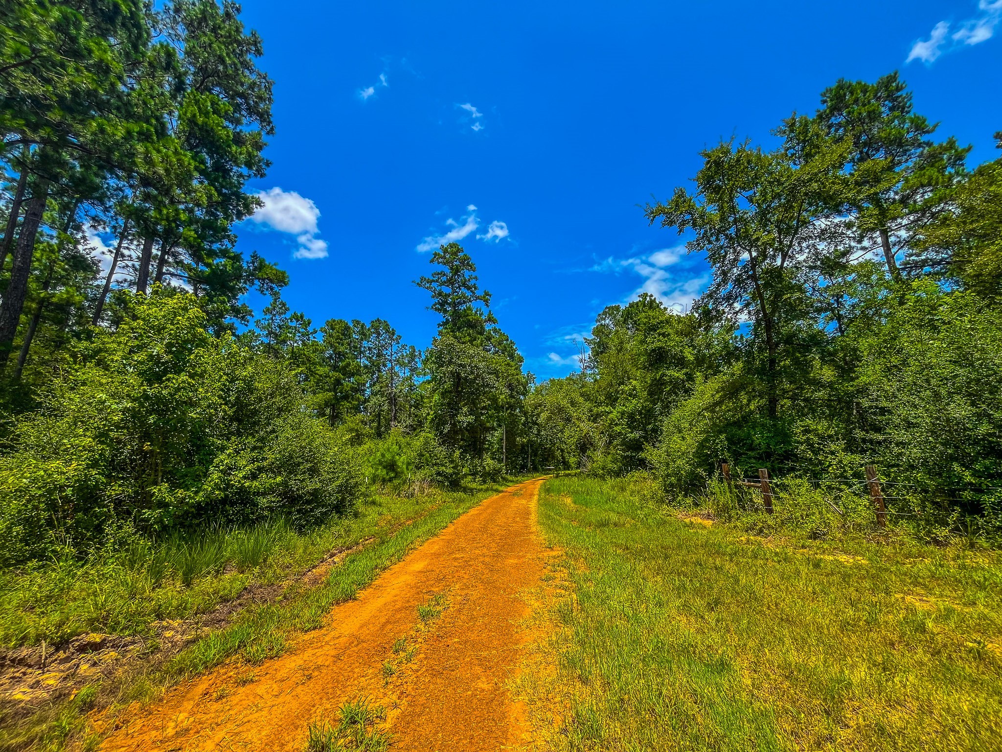 Tbd County Road 1906 Jacksonville TX 75766