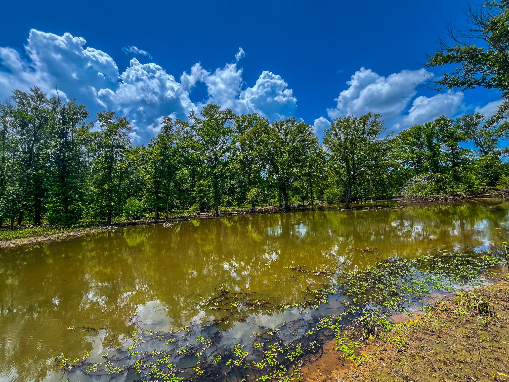 Tbd County Road 1906 Jacksonville TX 75766