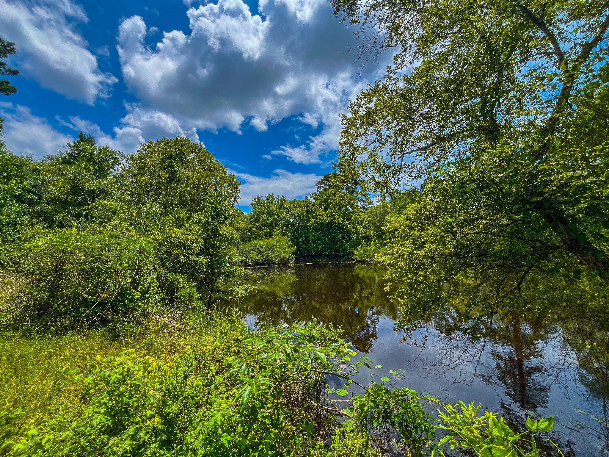 Tbd County Road 1906 Jacksonville TX 75766