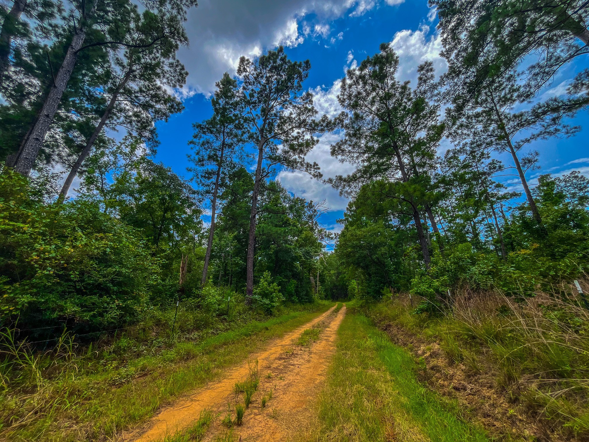 Tbd County Road 1906 Jacksonville TX 75766