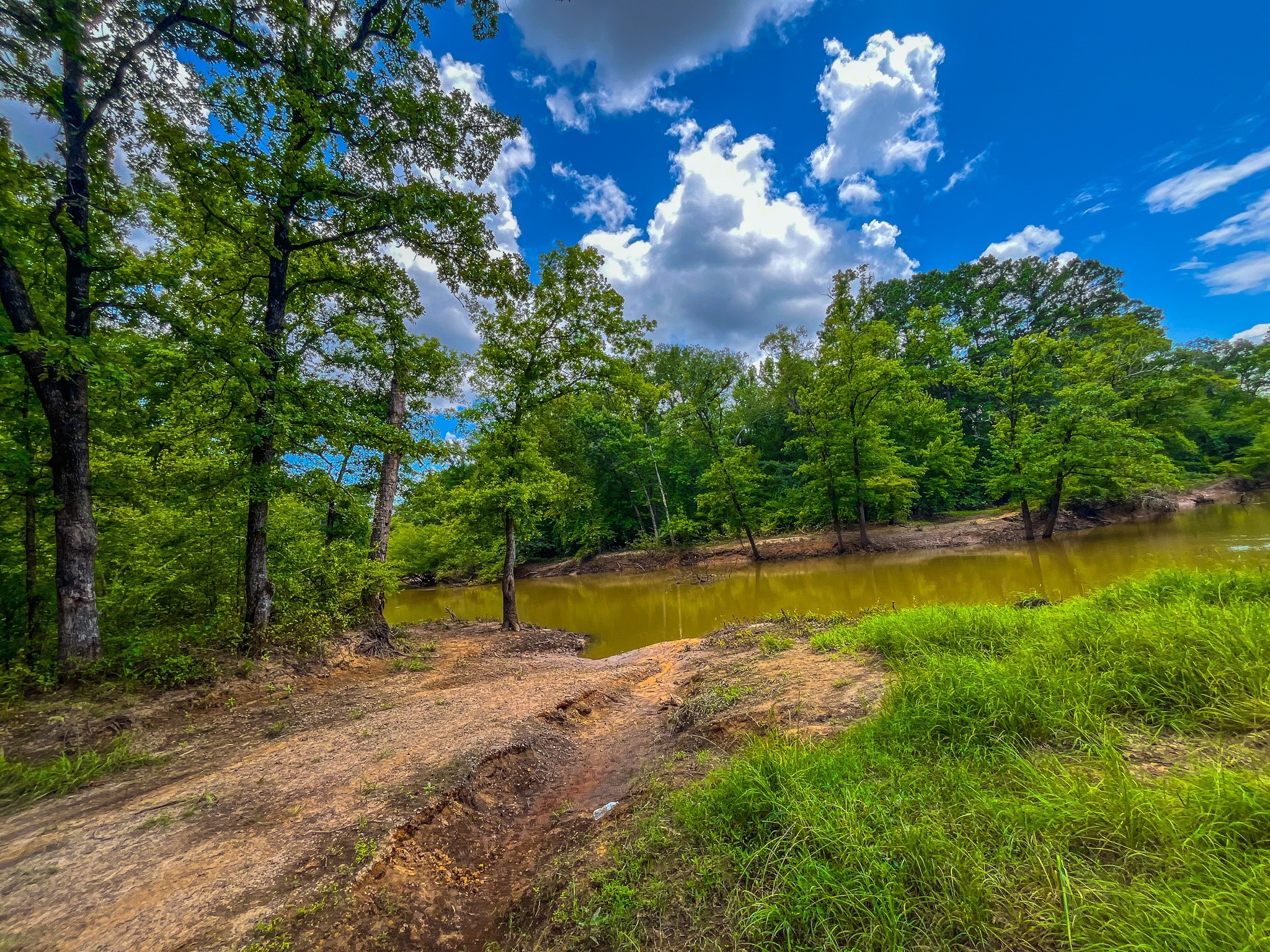 Tbd County Road 1906 Jacksonville TX 75766