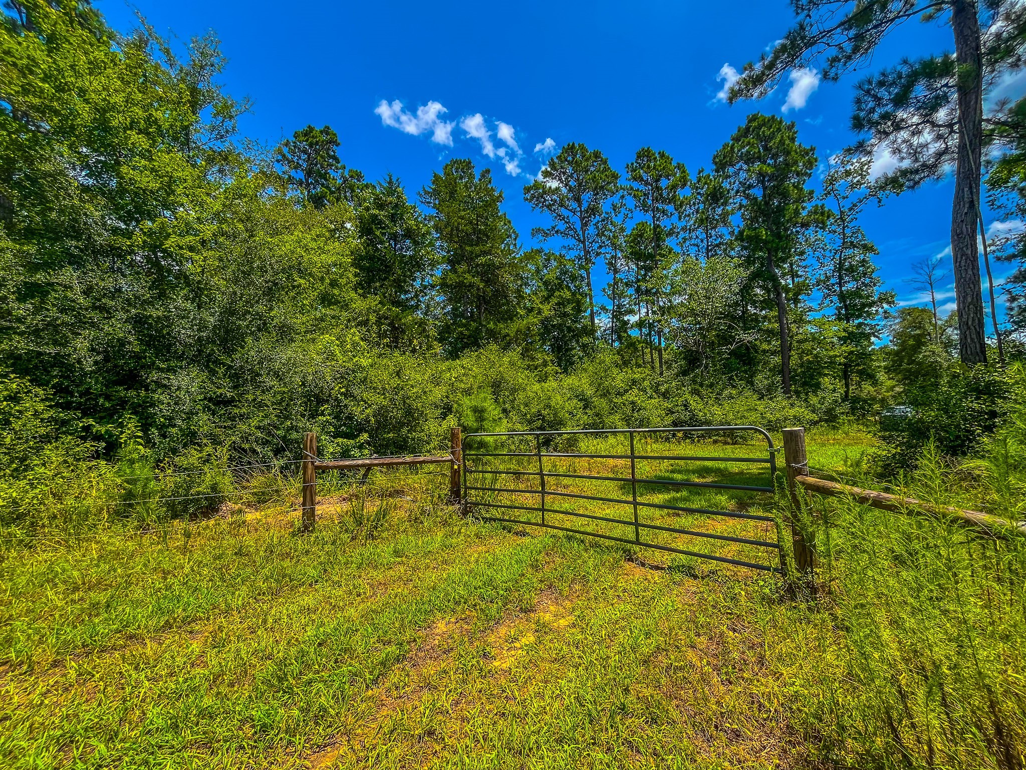 Tbd County Road 1906 Jacksonville TX 75766