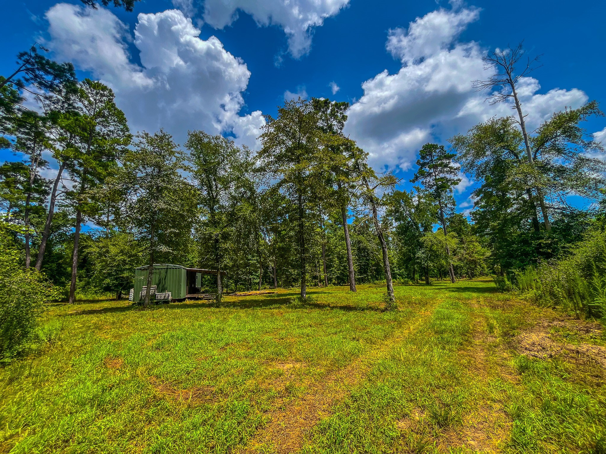 Tbd County Road 1906 Jacksonville TX 75766