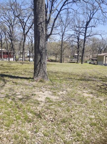 101 Camino Robles Street Gun Barrel City TX 75156