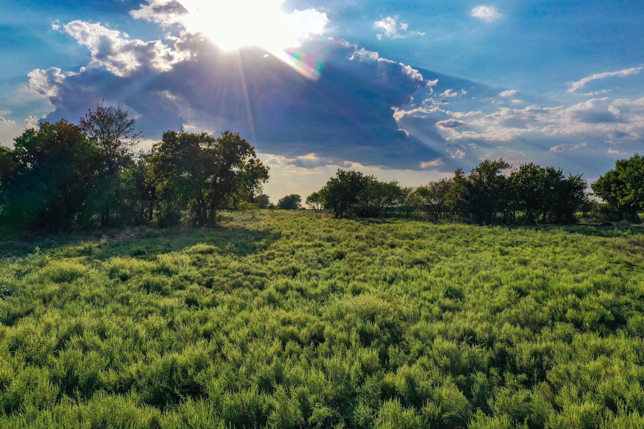 99.97 Acres S 281 Highway Perrin TX 76486