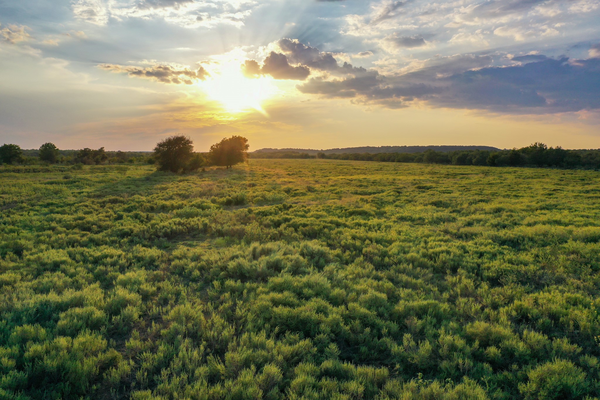 99.97 Acres S 281 Highway Perrin TX 76486