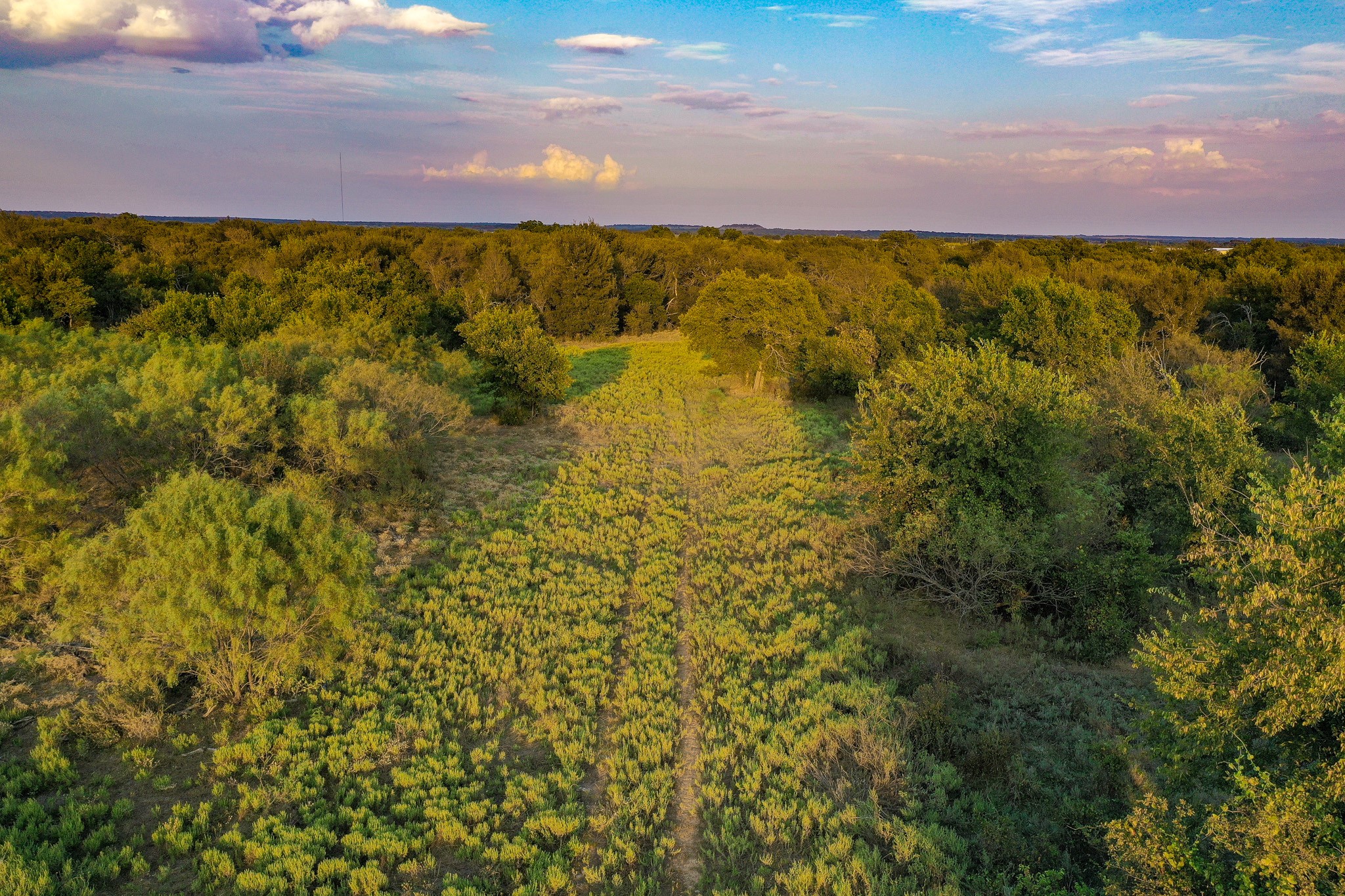99.97 Acres S 281 Highway Perrin TX 76486