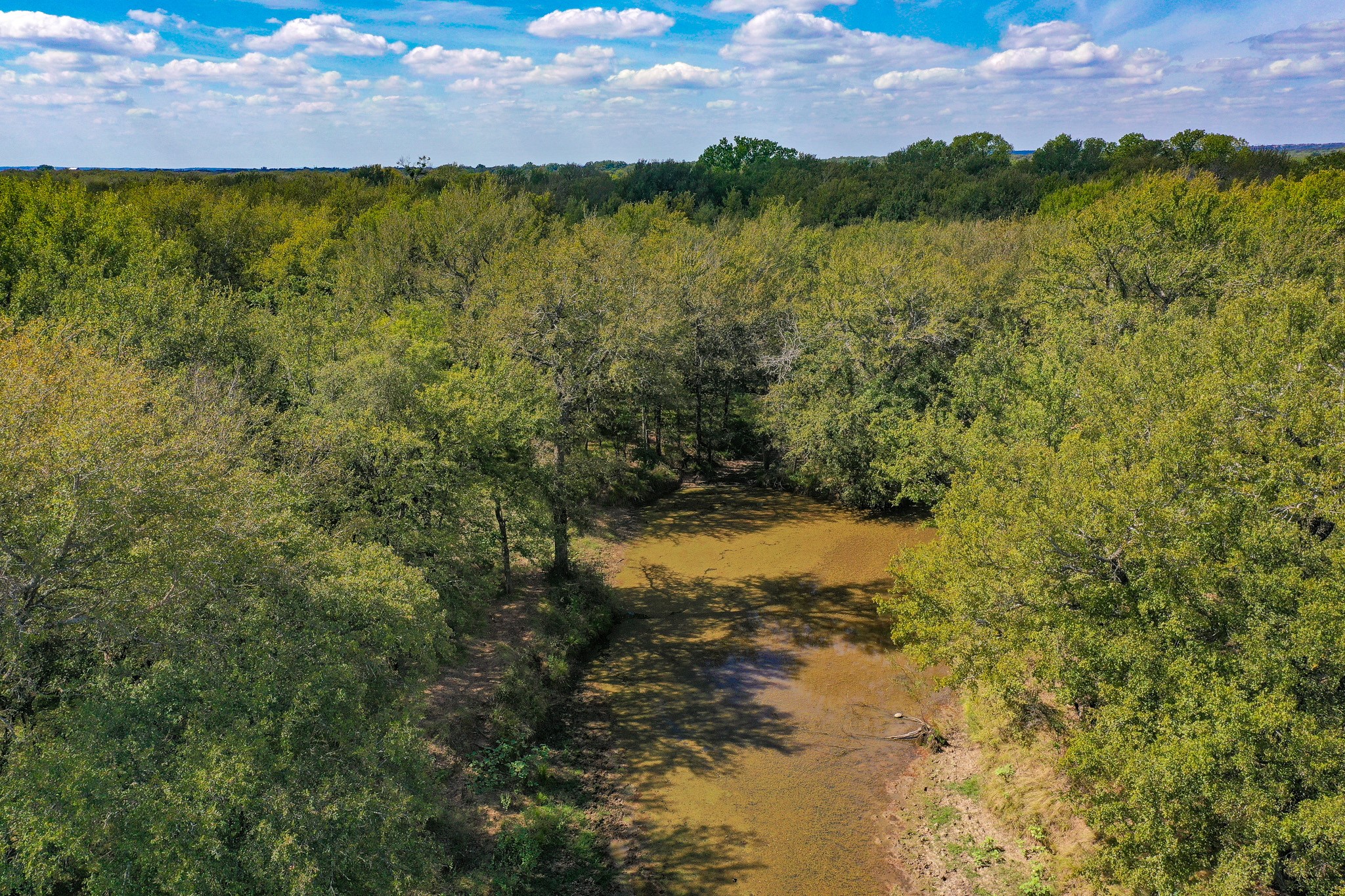 99.97 Acres S 281 Highway Perrin TX 76486