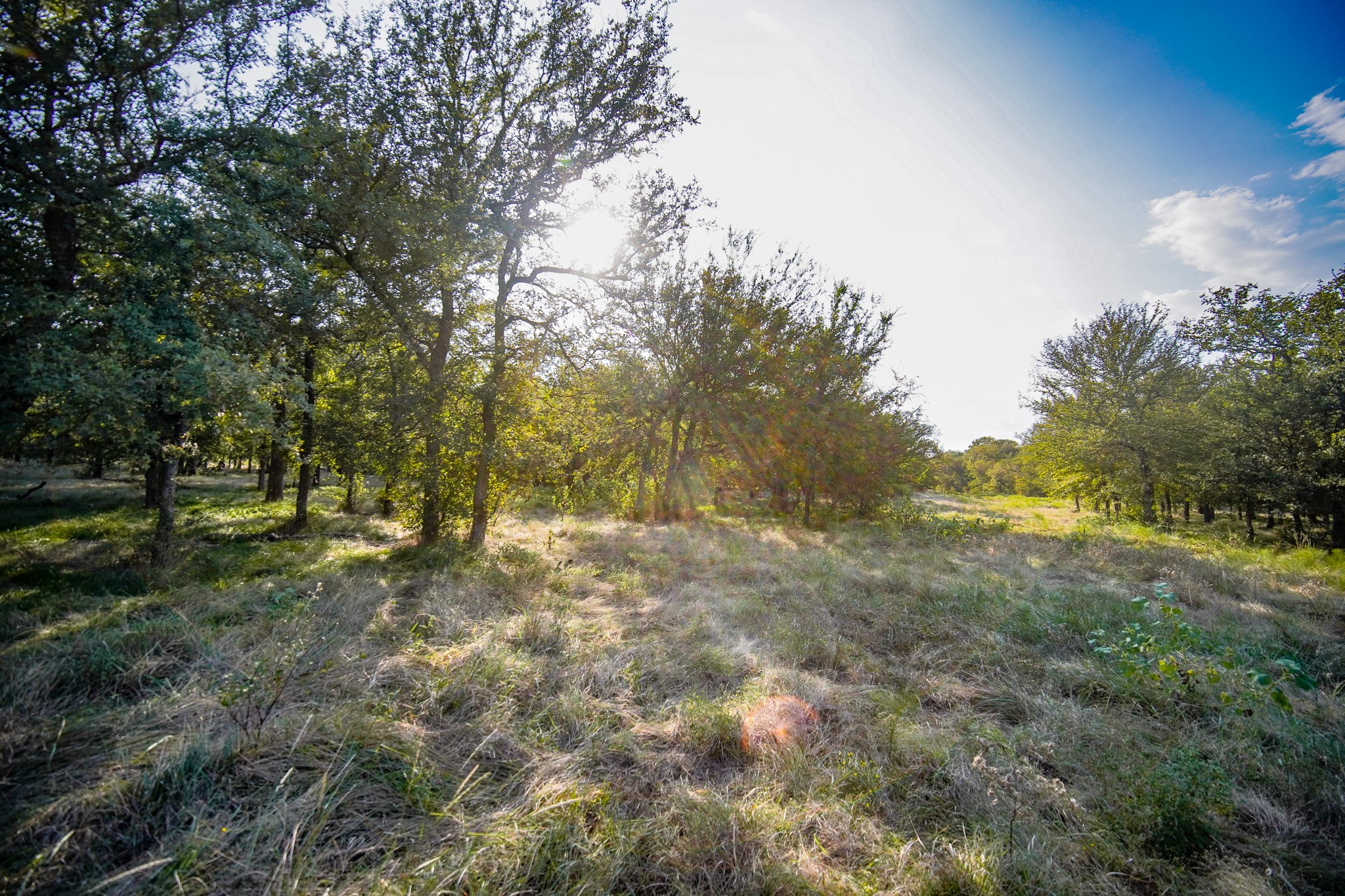 99.97 Acres S 281 Highway Perrin TX 76486