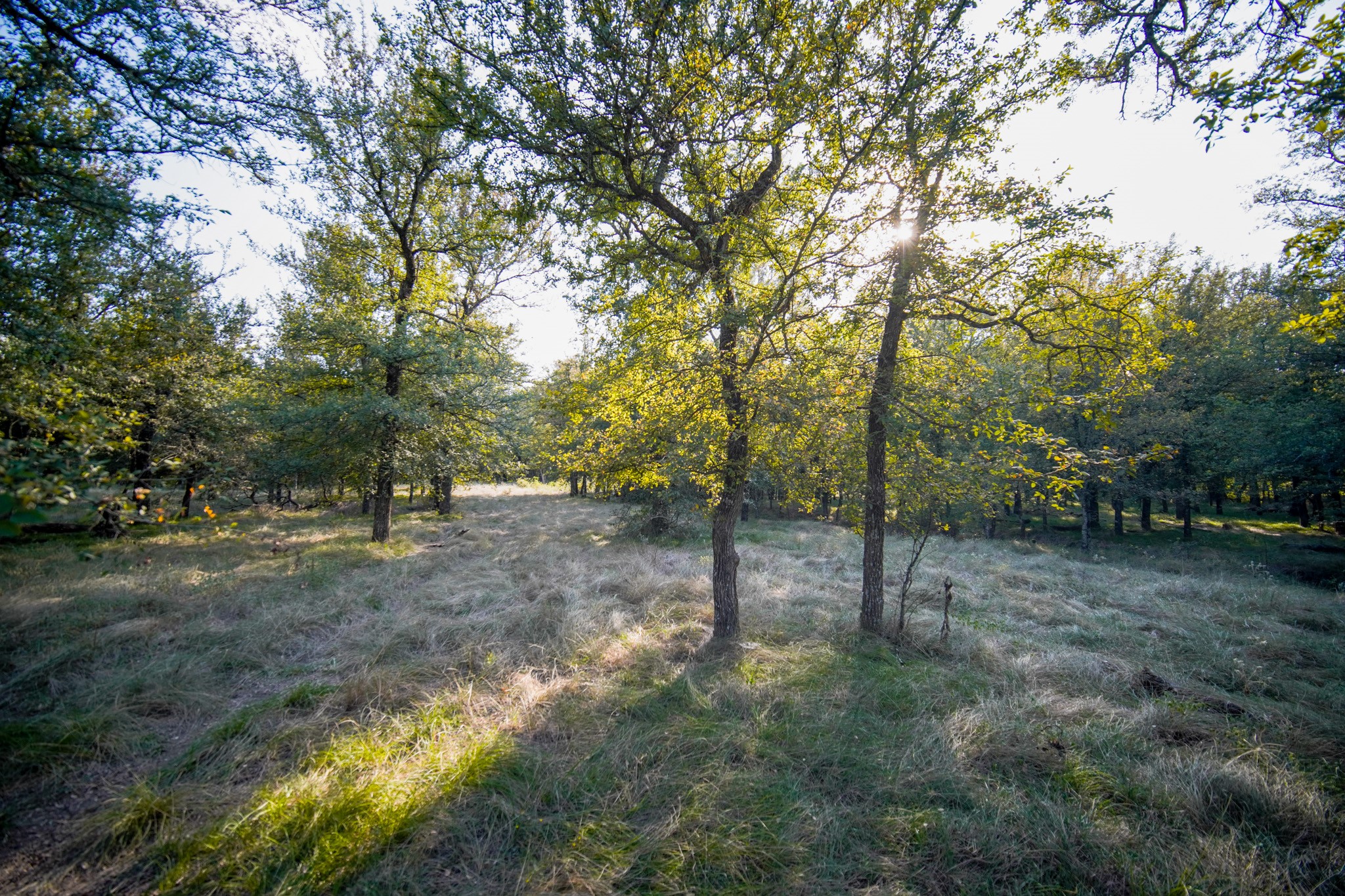 99.97 Acres S 281 Highway Perrin TX 76486