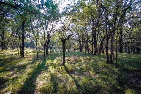 99.97 Acres S 281 Highway Perrin TX 76486