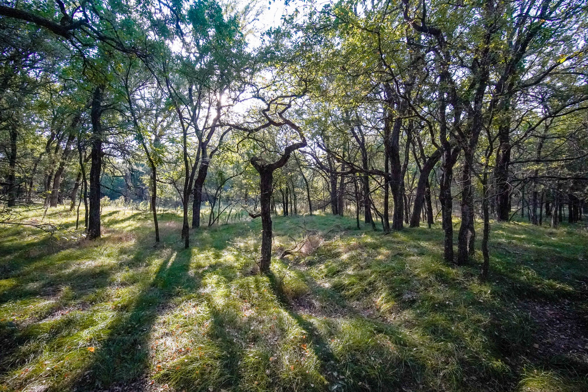 99.97 Acres S 281 Highway Perrin TX 76486