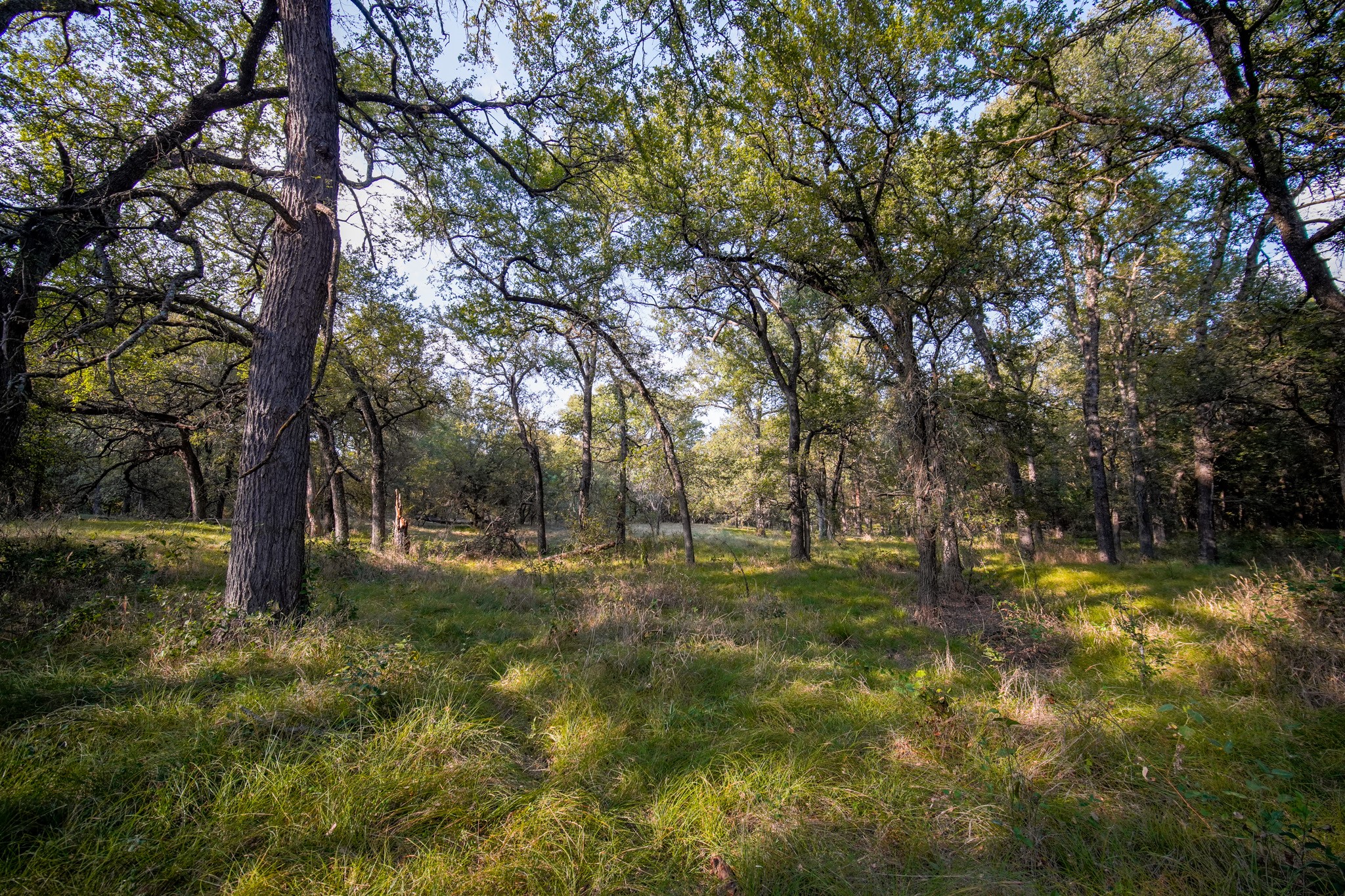 99.97 Acres S 281 Highway Perrin TX 76486