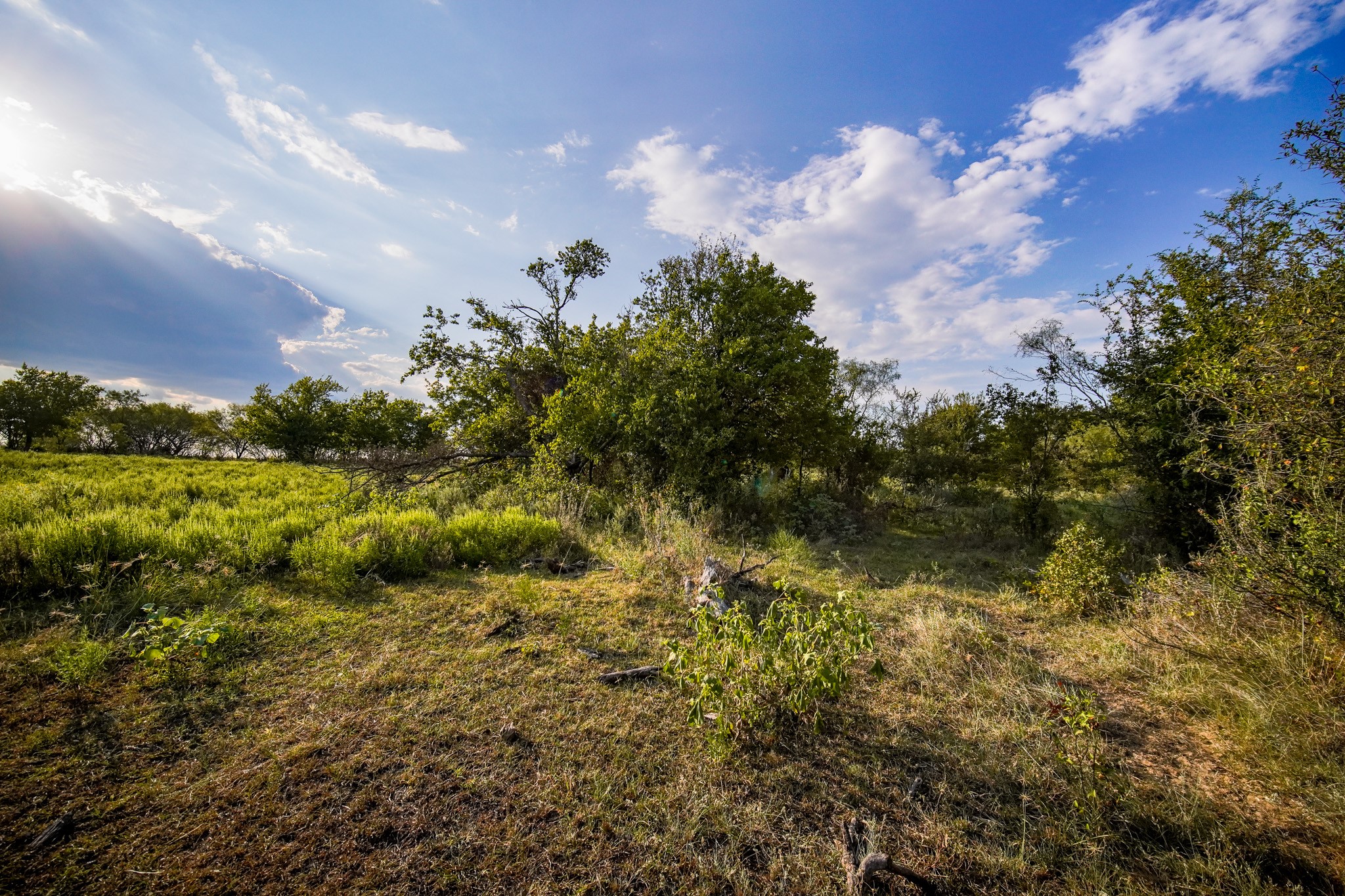 99.97 Acres S 281 Highway Perrin TX 76486