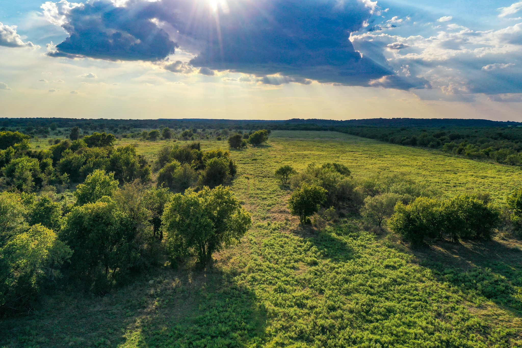 99.97 Acres S 281 Highway Perrin TX 76486