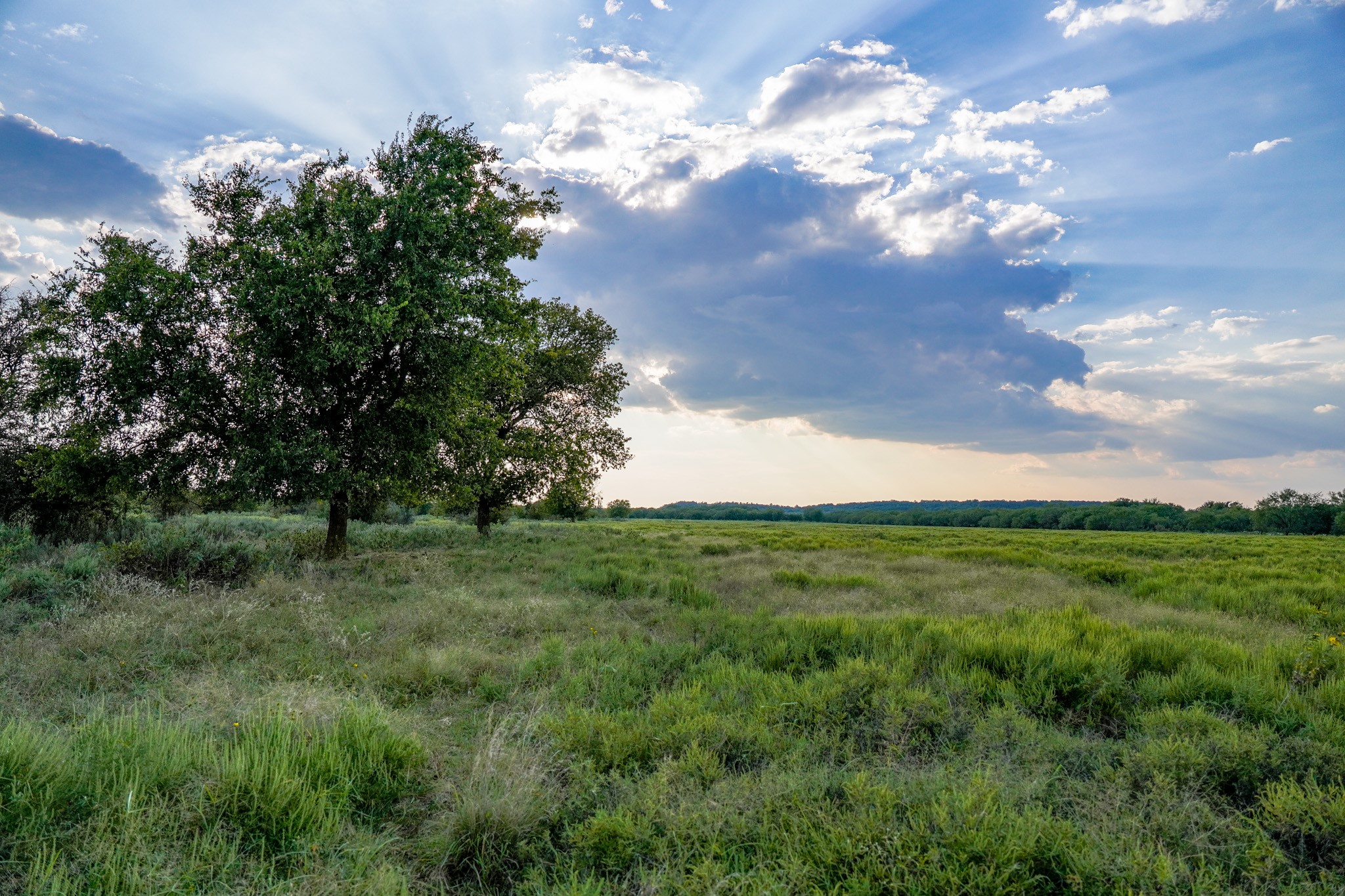 99.97 Acres S 281 Highway Perrin TX 76486