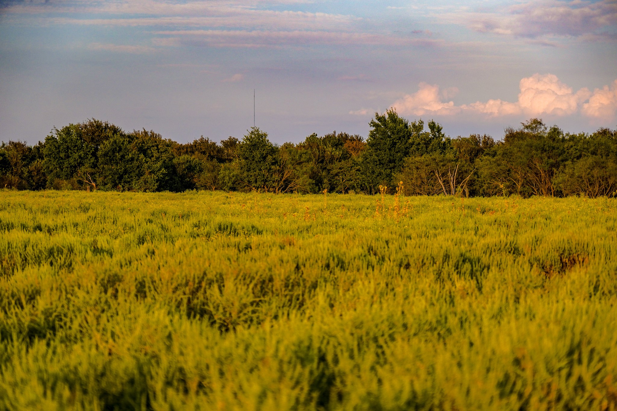 99.97 Acres S 281 Highway Perrin TX 76486