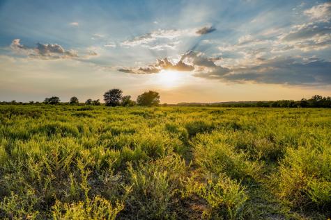 99.97 Acres S 281 Highway Perrin TX 76486