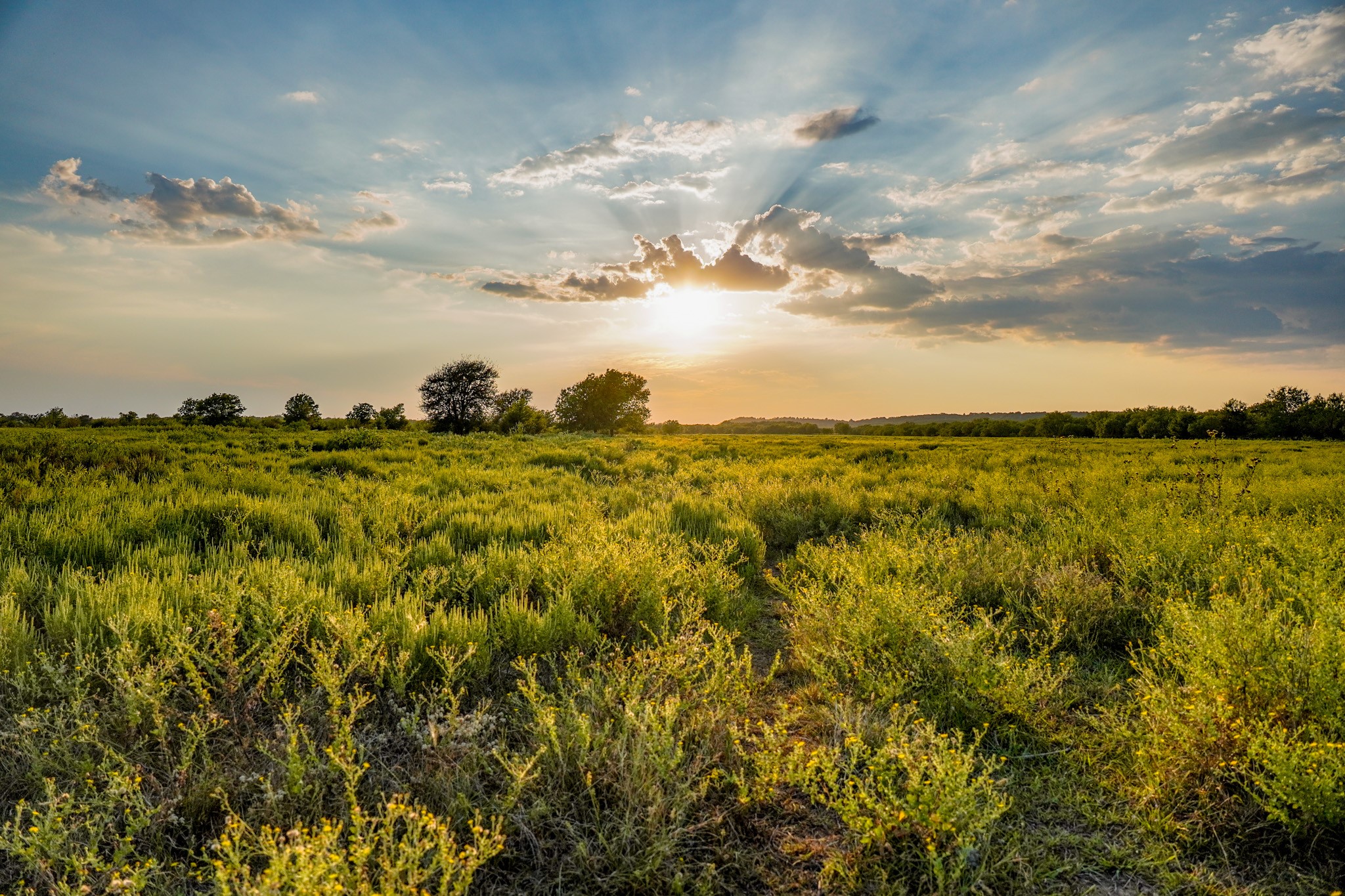 99.97 Acres S 281 Highway Perrin TX 76486