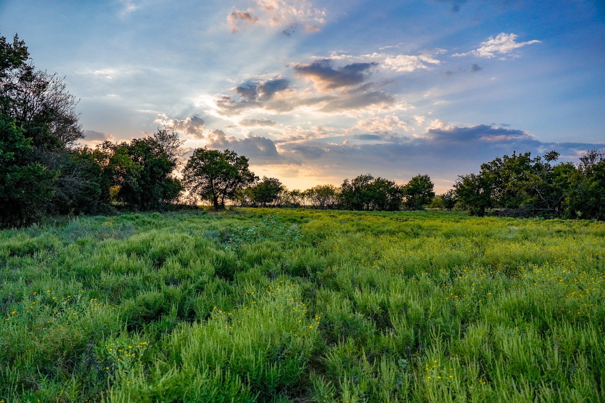 99.97 Acres S 281 Highway Perrin TX 76486