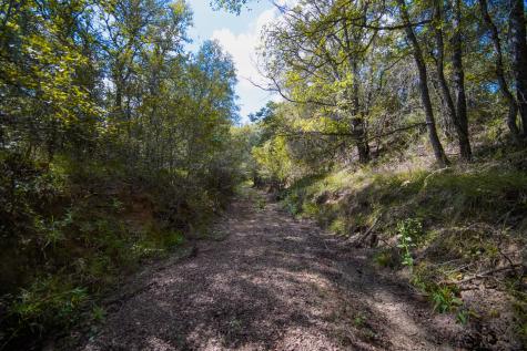 99.97 Acres S 281 Highway Perrin TX 76486