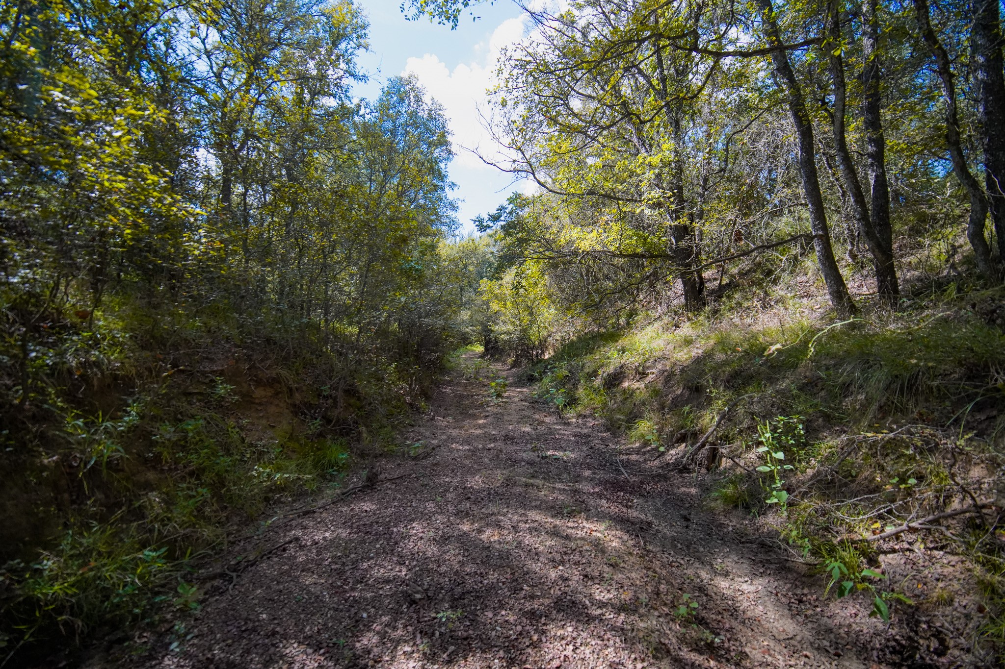 99.97 Acres S 281 Highway Perrin TX 76486