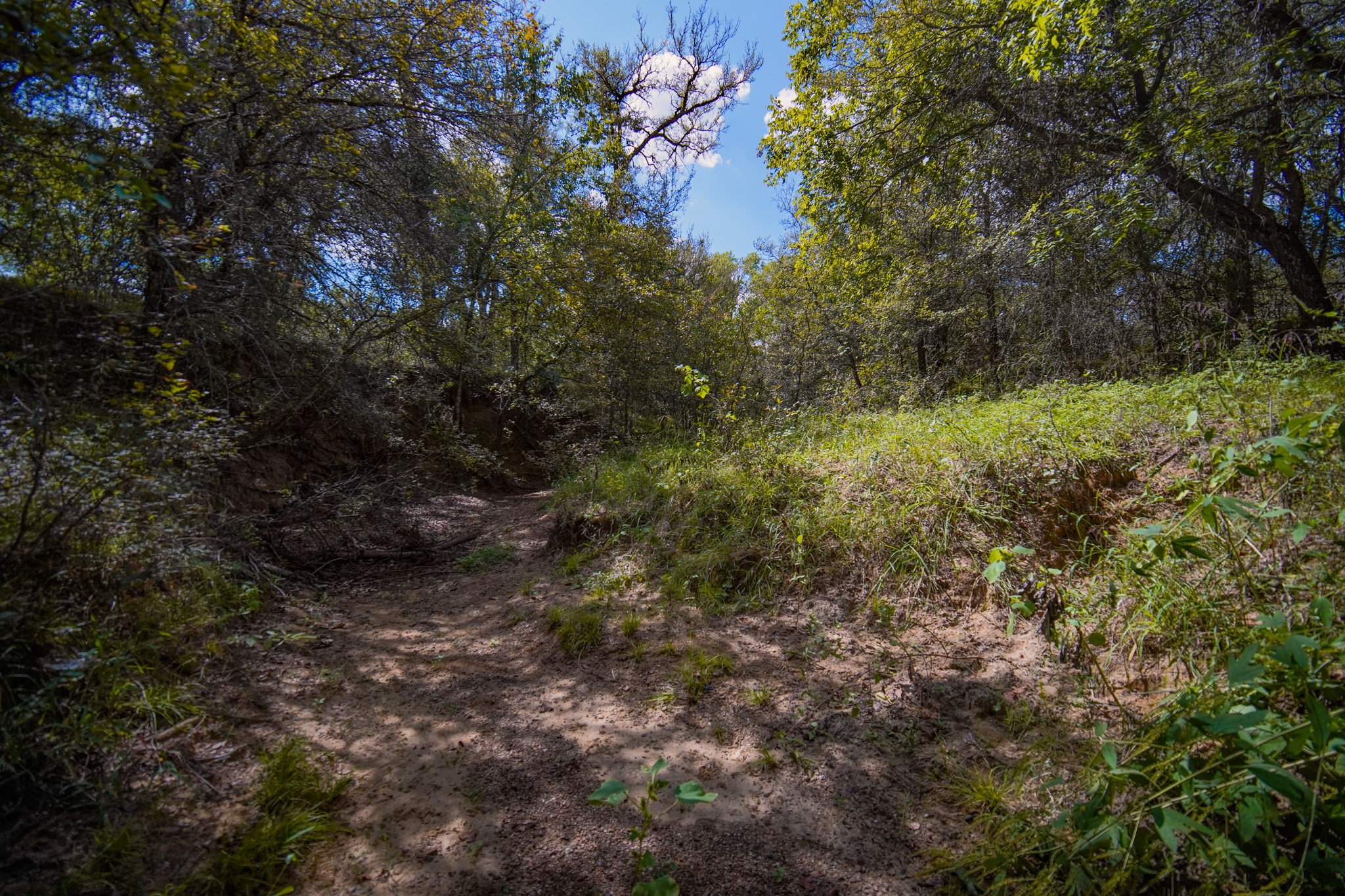 99.97 Acres S 281 Highway Perrin TX 76486