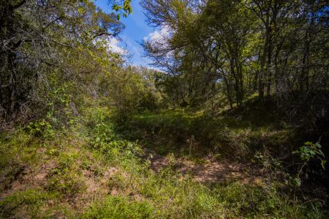 99.97 Acres S 281 Highway Perrin TX 76486