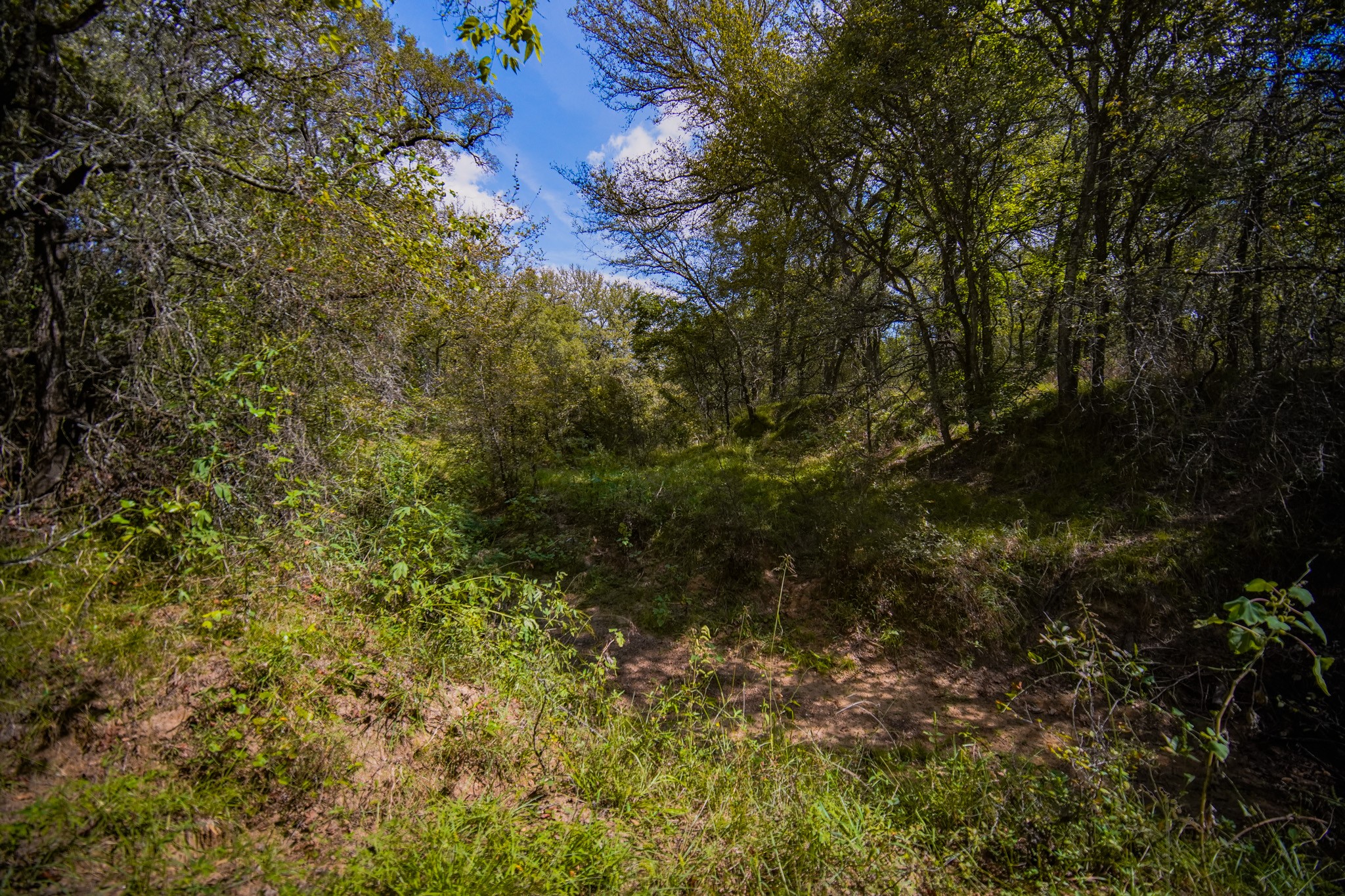 99.97 Acres S 281 Highway Perrin TX 76486