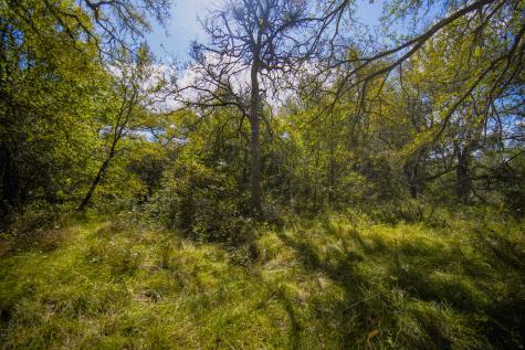 99.97 Acres S 281 Highway Perrin TX 76486