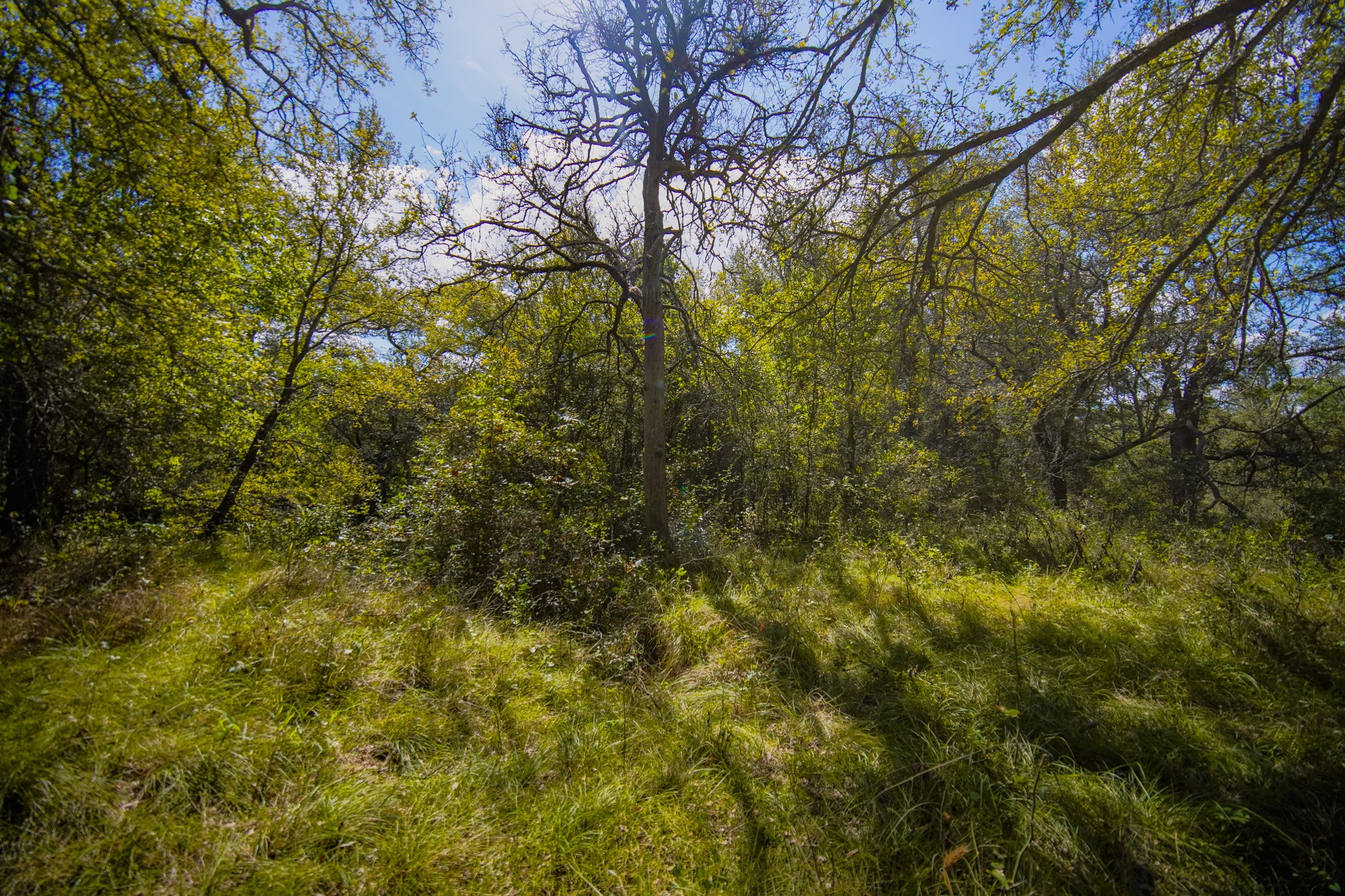 99.97 Acres S 281 Highway Perrin TX 76486