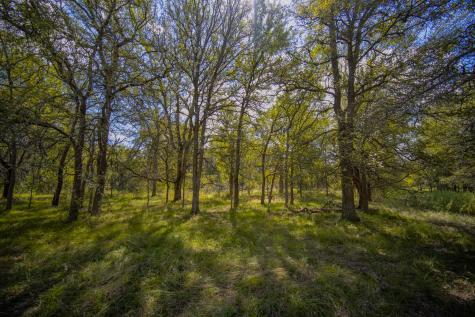 99.97 Acres S 281 Highway Perrin TX 76486