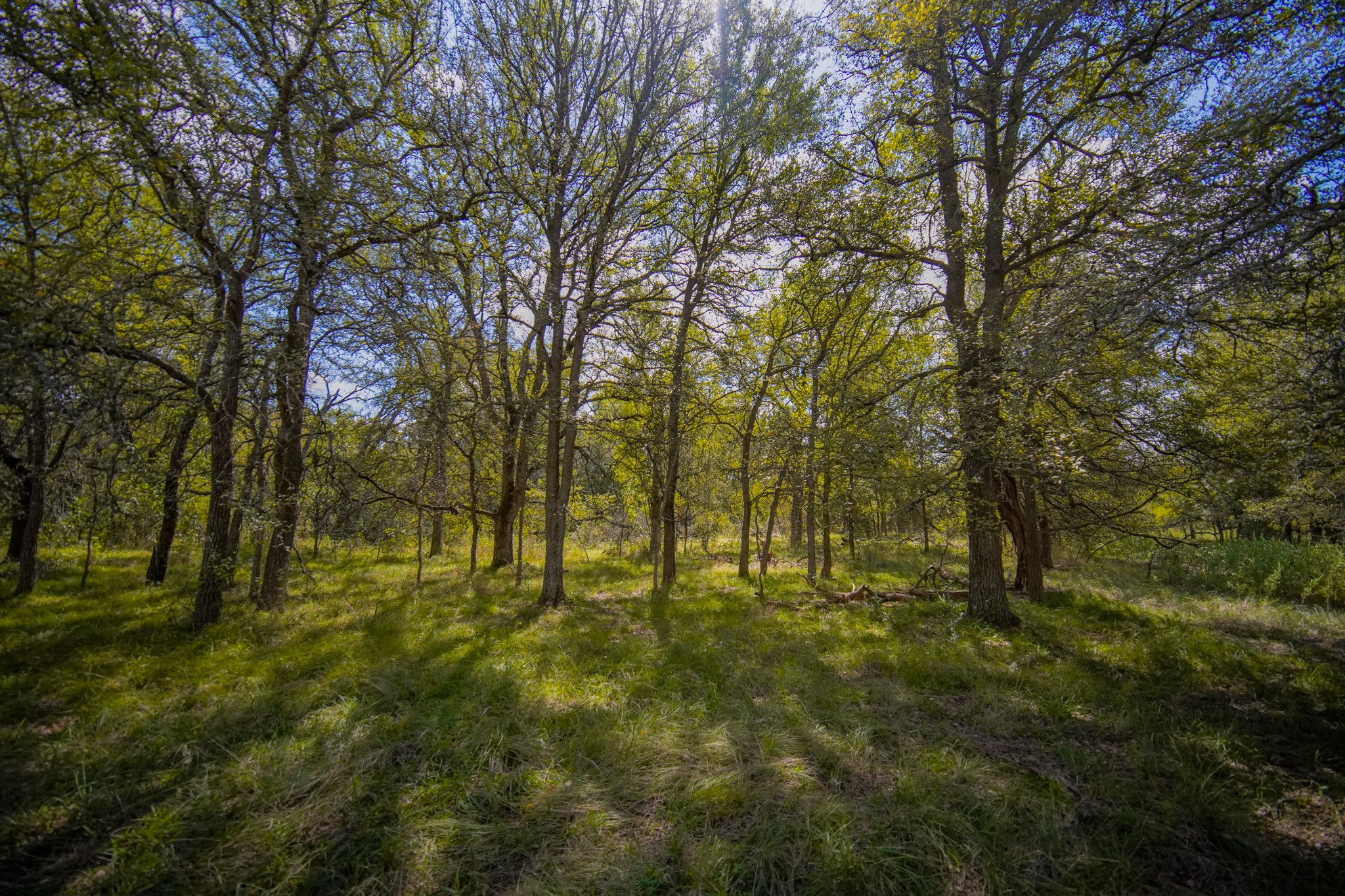 99.97 Acres S 281 Highway Perrin TX 76486
